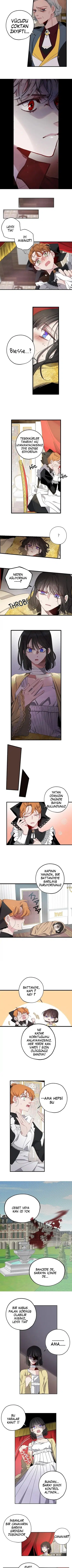 Bir Tiranın Kalbi - Bölüm 13 Sayfa 4