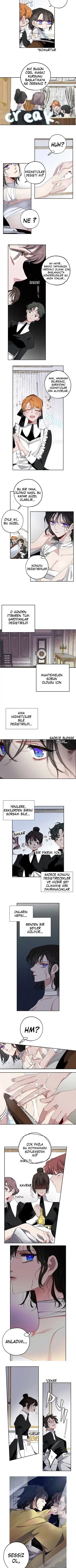 Bir Tiranın Kalbi - Bölüm 15 Sayfa 4