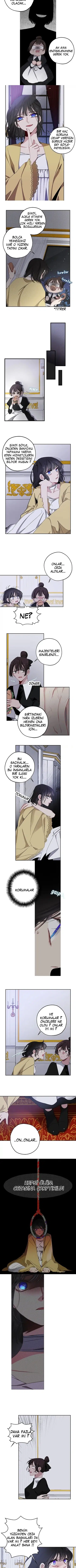 Bir Tiranın Kalbi - Bölüm 15 Sayfa 6