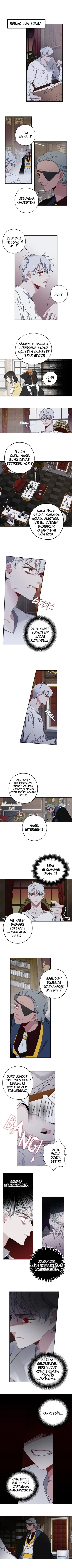 Bir Tiranın Kalbi - Bölüm 17 Sayfa 1