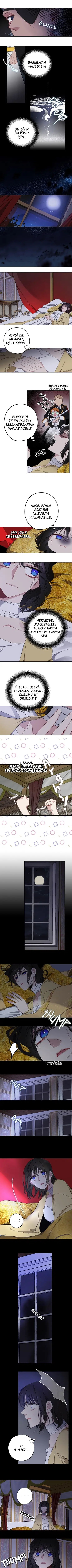 Bir Tiranın Kalbi - Bölüm 17 Sayfa 2