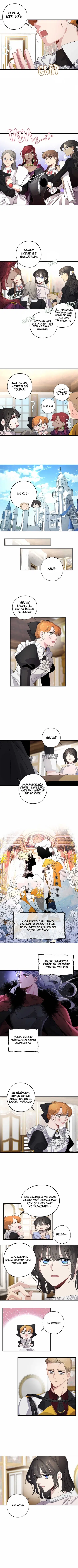 Bir Tiranın Kalbi - Bölüm 29 Sayfa 2