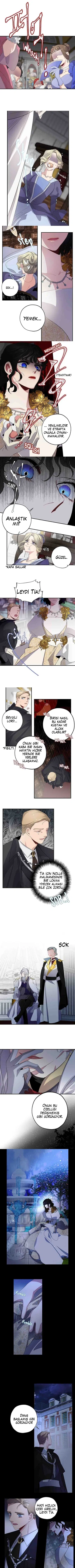 Bir Tiranın Kalbi - Bölüm 31 Sayfa 1