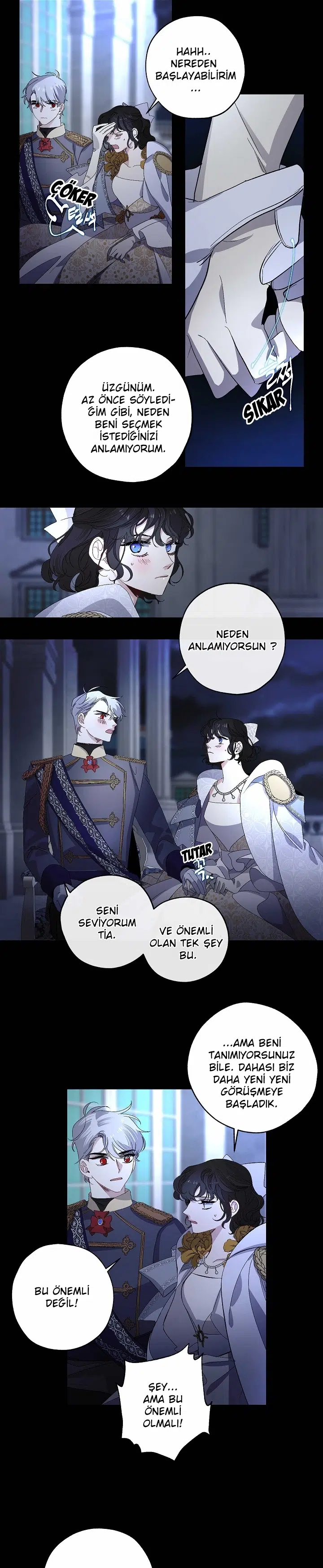 Bir Tiranın Kalbi - Bölüm 33 Sayfa 17