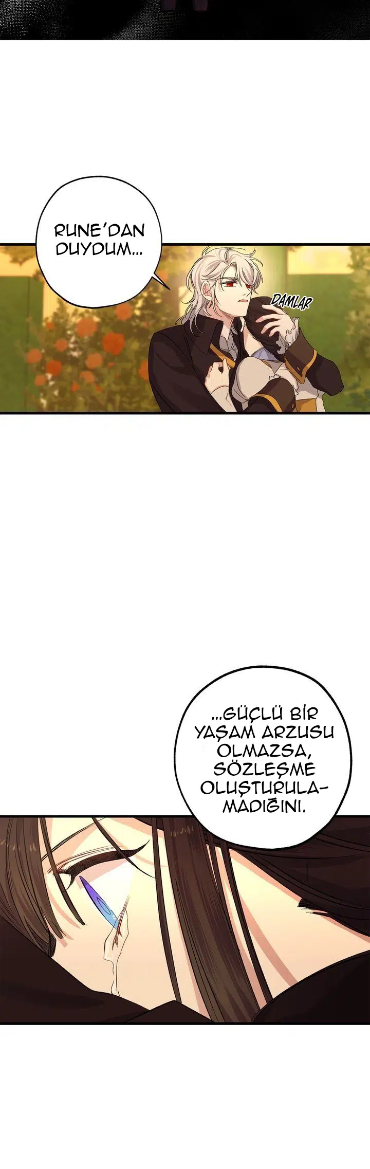 Bir Tiranın Kalbi - Bölüm 53 Sayfa 11