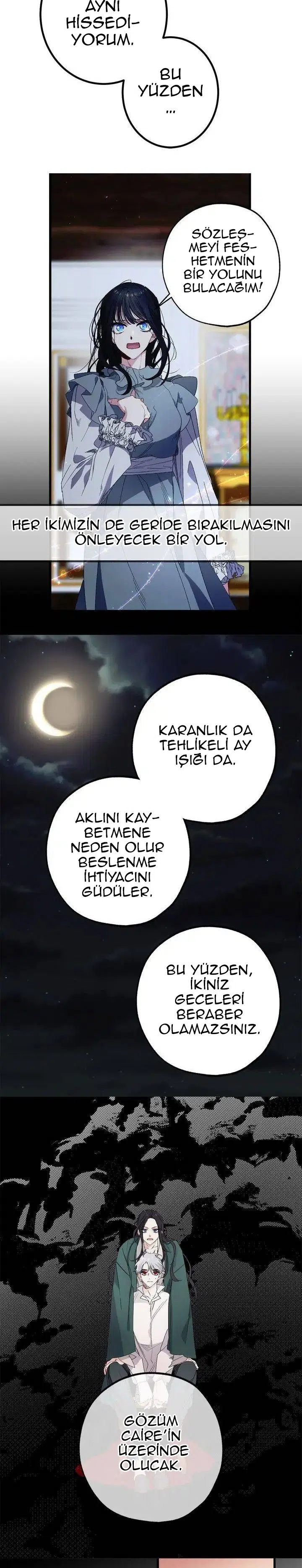 Bir Tiranın Kalbi - Bölüm 56 Sayfa 13