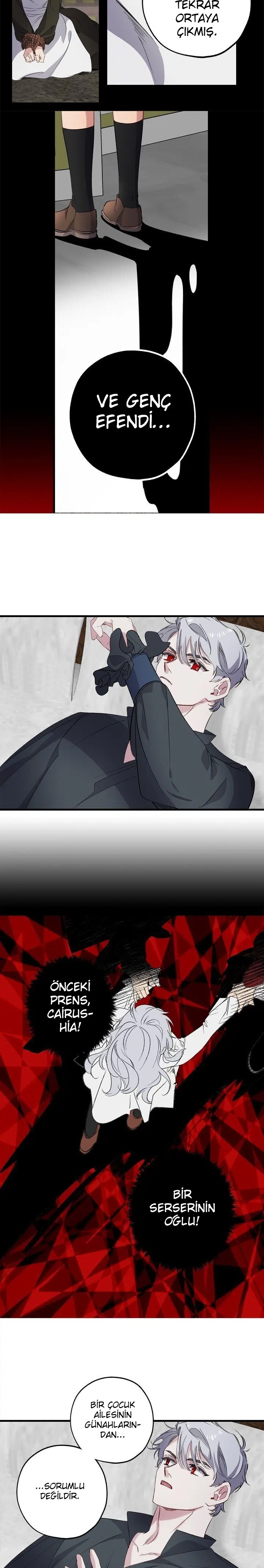 Bir Tiranın Kalbi - Bölüm 57 Sayfa 11