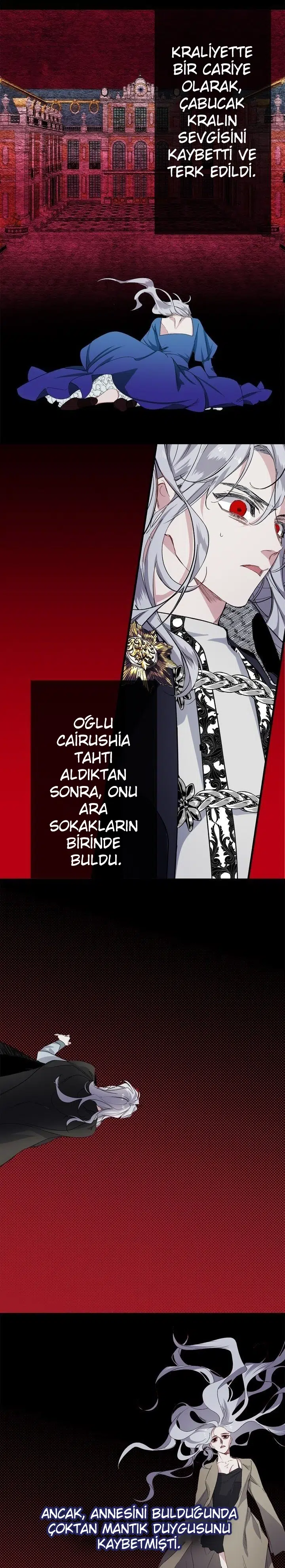 Bir Tiranın Kalbi - Bölüm 58 Sayfa 14