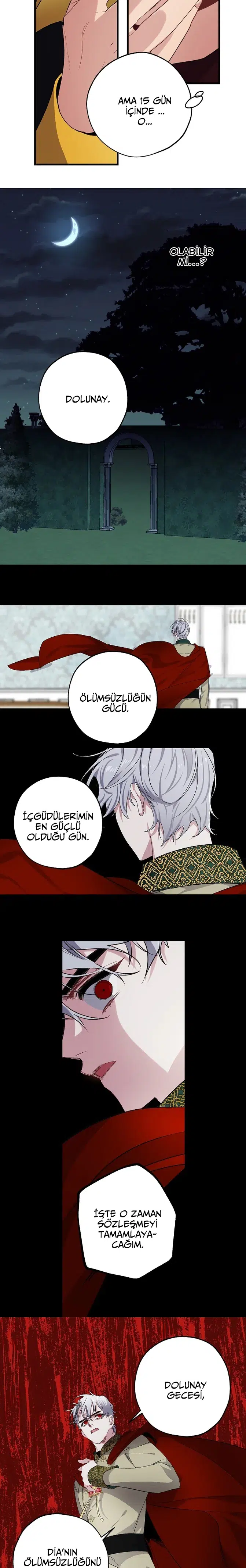 Bir Tiranın Kalbi - Bölüm 66 Sayfa 11