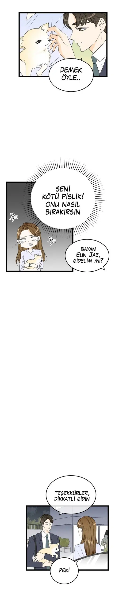 İlk Aşkım - Bölüm 37 Sayfa 12
