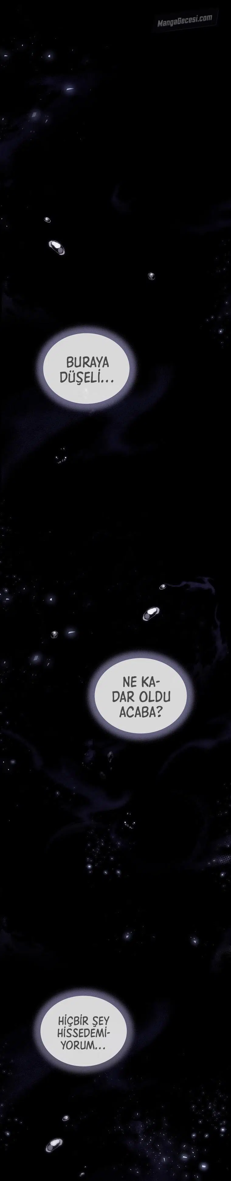 Donmuş Oyuncunun Dönüşü - Bölüm 55 Sayfa 2