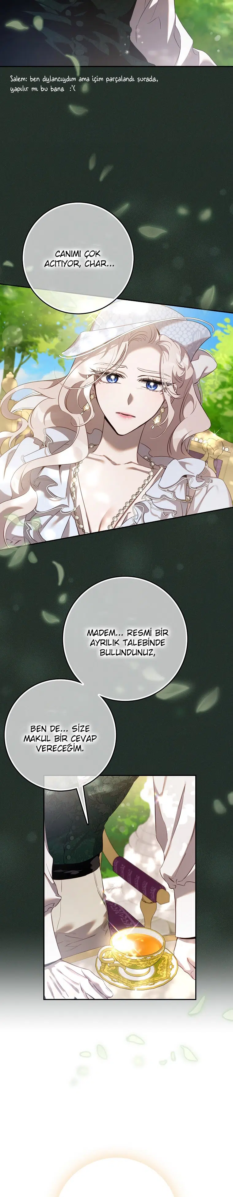 Bir Zorbayı Evcilleştirdim ve Kaçtım - Bölüm 120 Sayfa 11