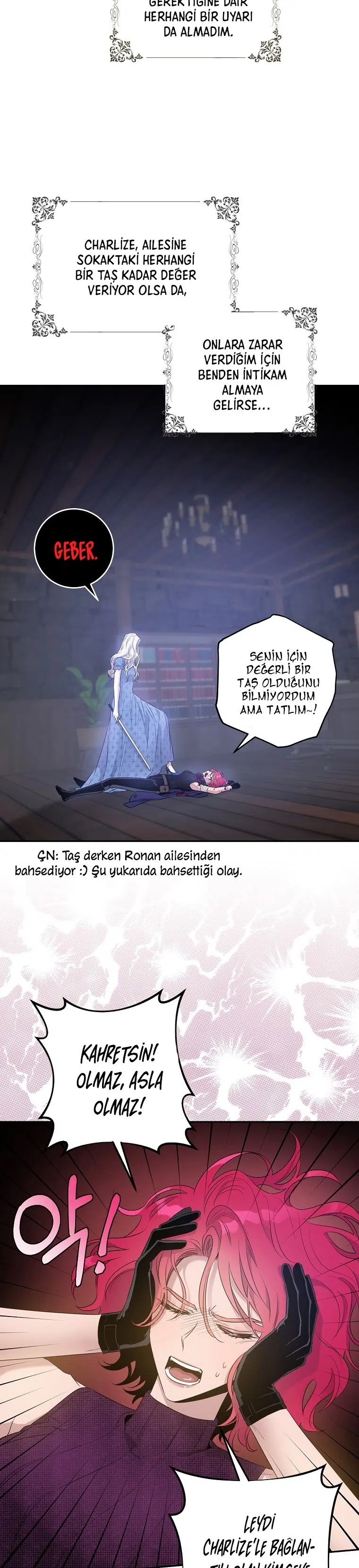 Bir Zorbayı Evcilleştirdim ve Kaçtım - Bölüm 42 Sayfa 24