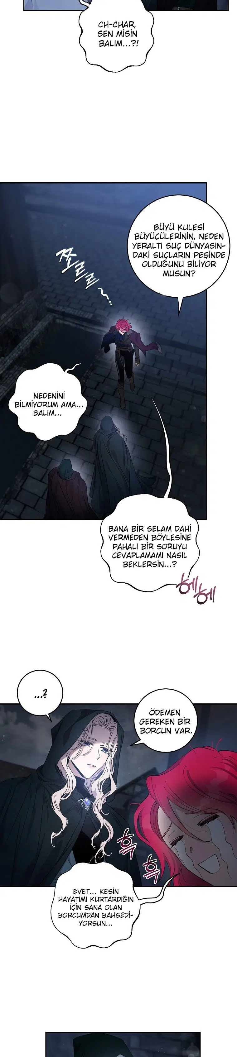 Bir Zorbayı Evcilleştirdim ve Kaçtım - Bölüm 54 Sayfa 16