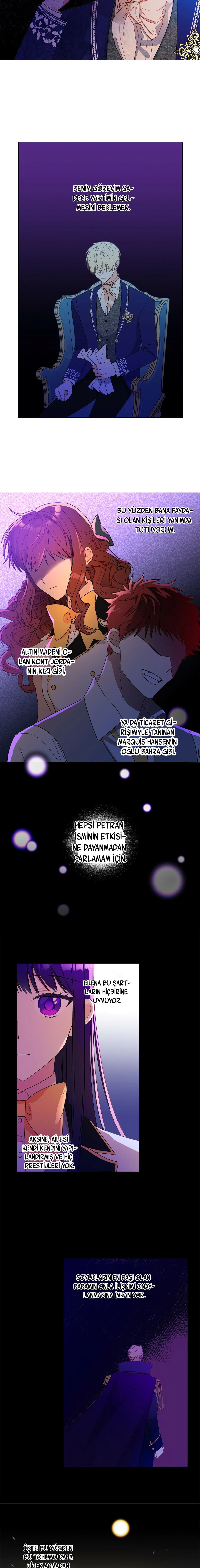 Elena’yı Anlamaya Çalışırken - Bölüm 12 Sayfa 17