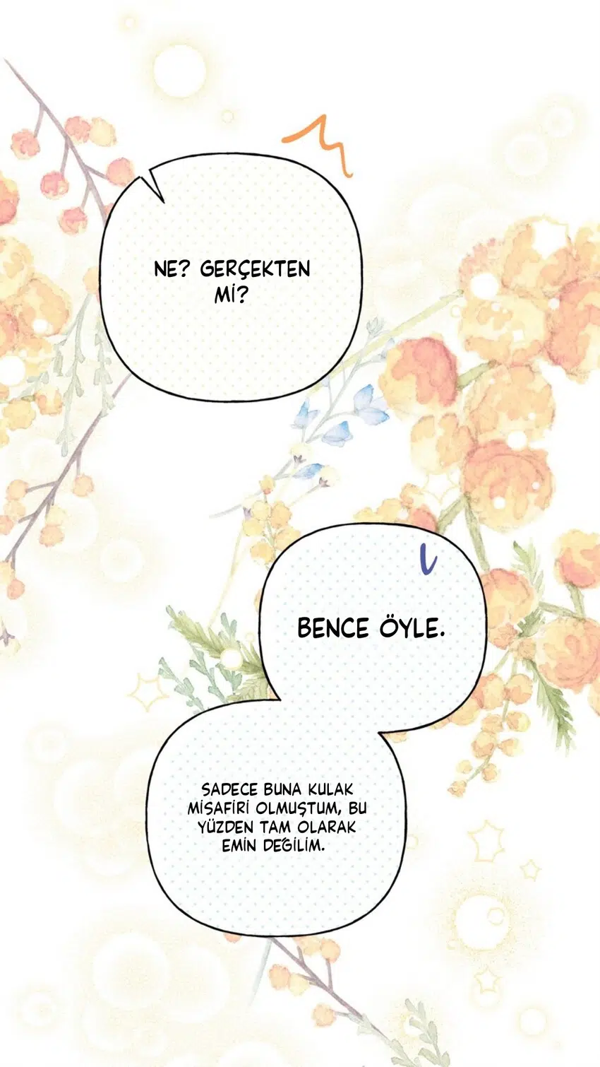 Elena’yı Anlamaya Çalışırken - Bölüm 80 Sayfa 31
