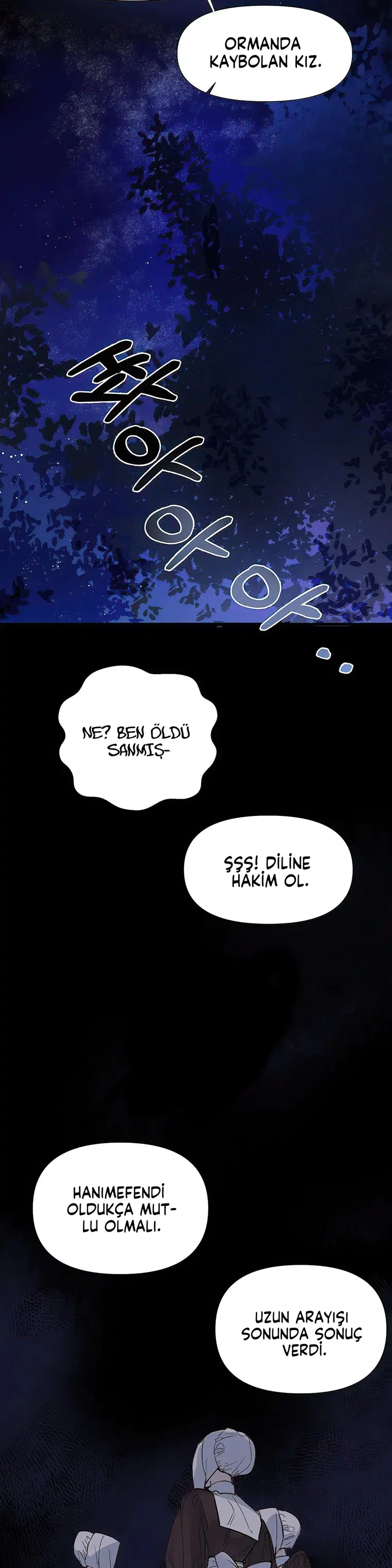 Sahte Leydi - Bölüm 1 Sayfa 3
