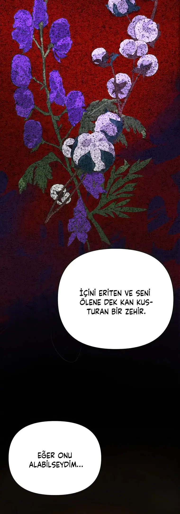 Sahte Leydi - Bölüm 10 Sayfa 35
