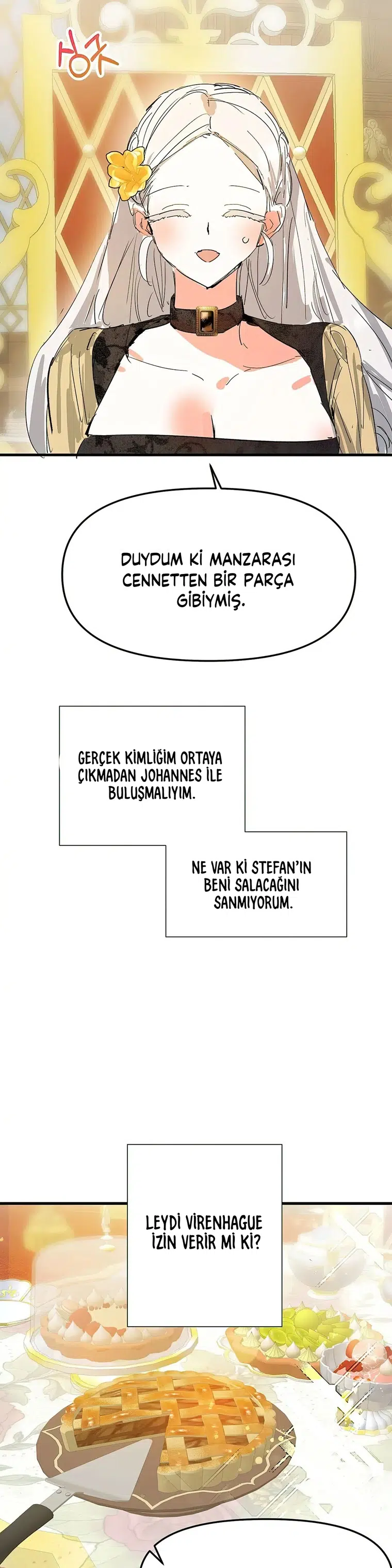 Sahte Leydi - Bölüm 11 Sayfa 31