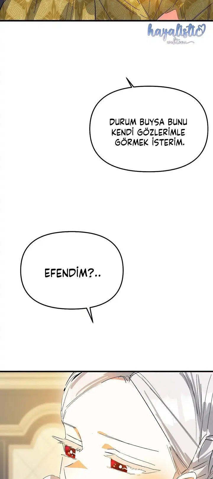 Sahte Leydi - Bölüm 13 Sayfa 9