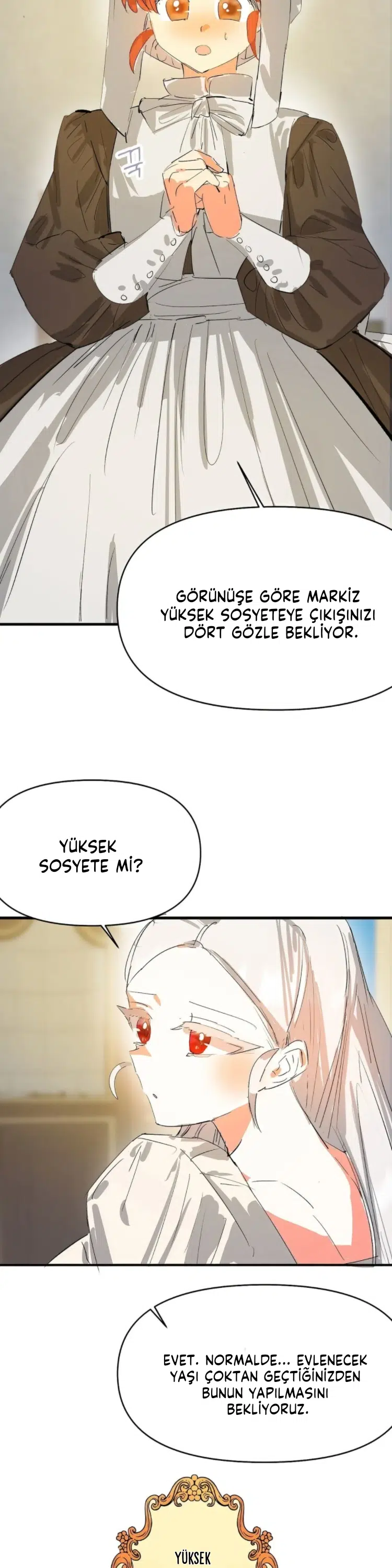 Sahte Leydi - Bölüm 15 Sayfa 17