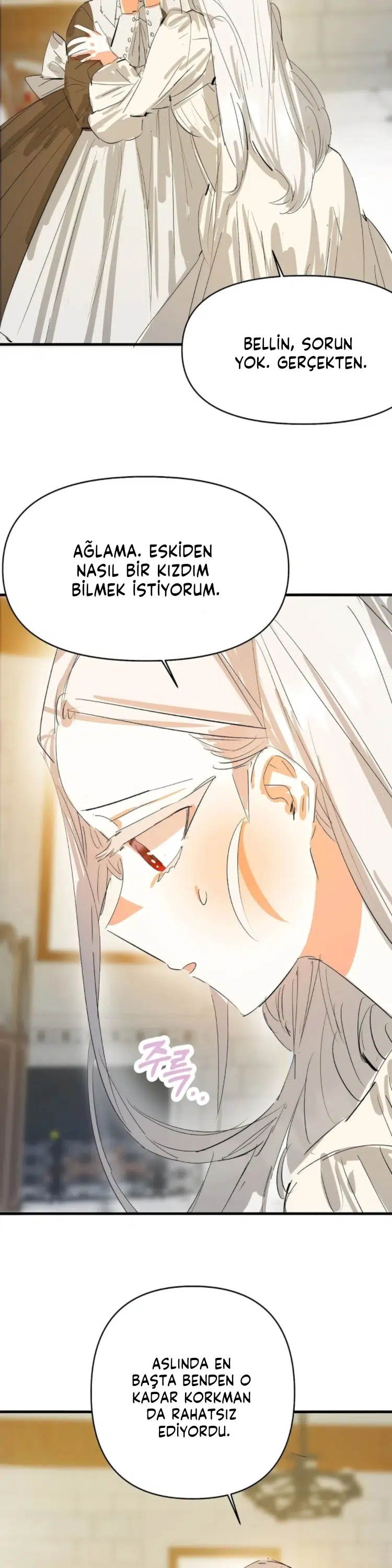 Sahte Leydi - Bölüm 15 Sayfa 29