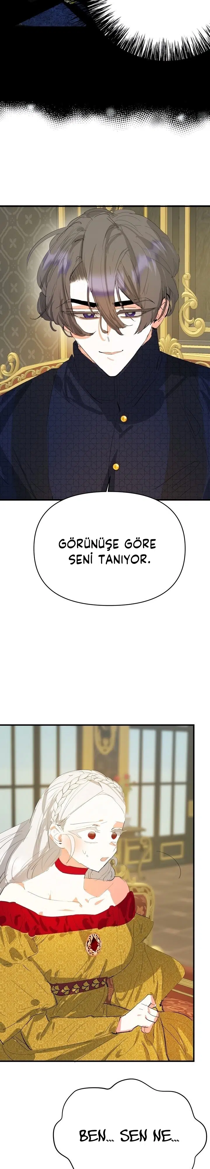 Sahte Leydi - Bölüm 17 Sayfa 6