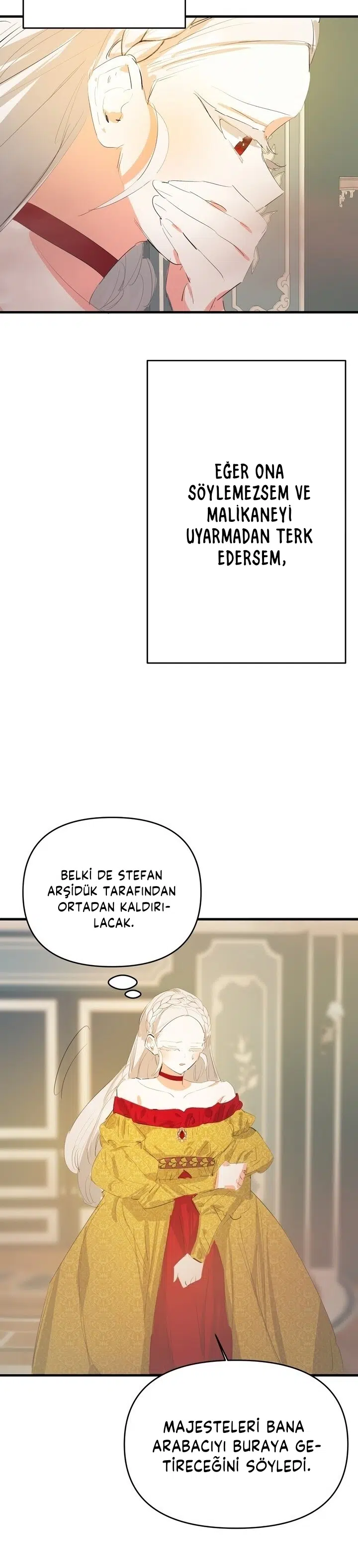 Sahte Leydi - Bölüm 17 Sayfa 15