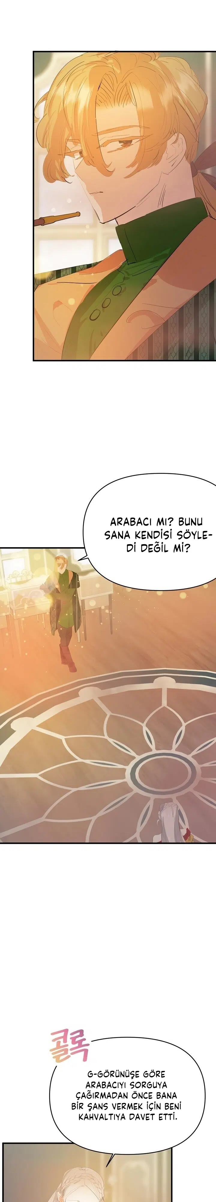 Sahte Leydi - Bölüm 17 Sayfa 16
