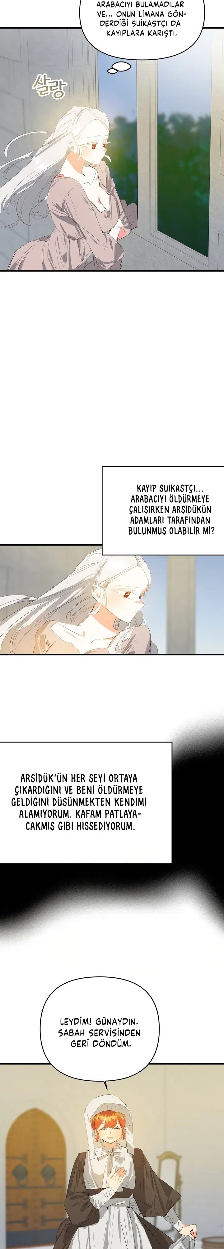 Sahte Leydi - Bölüm 17 Sayfa 25