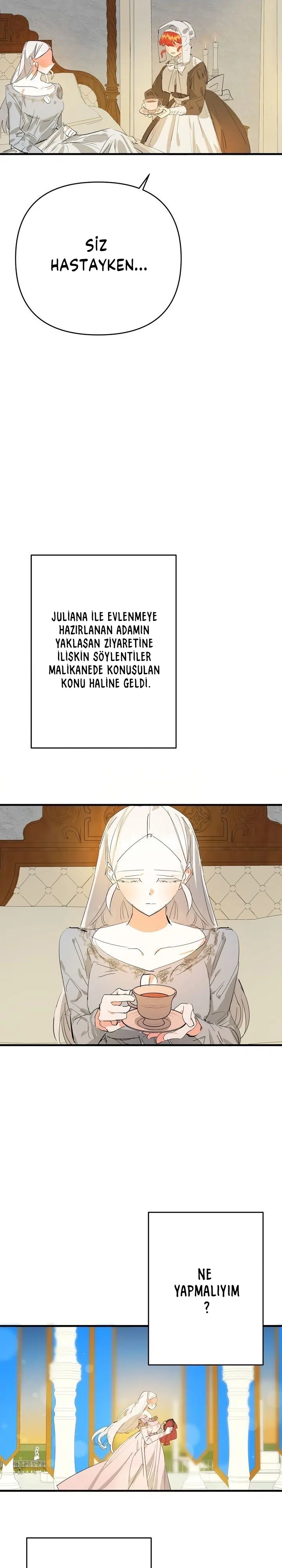 Sahte Leydi - Bölüm 20 Sayfa 12