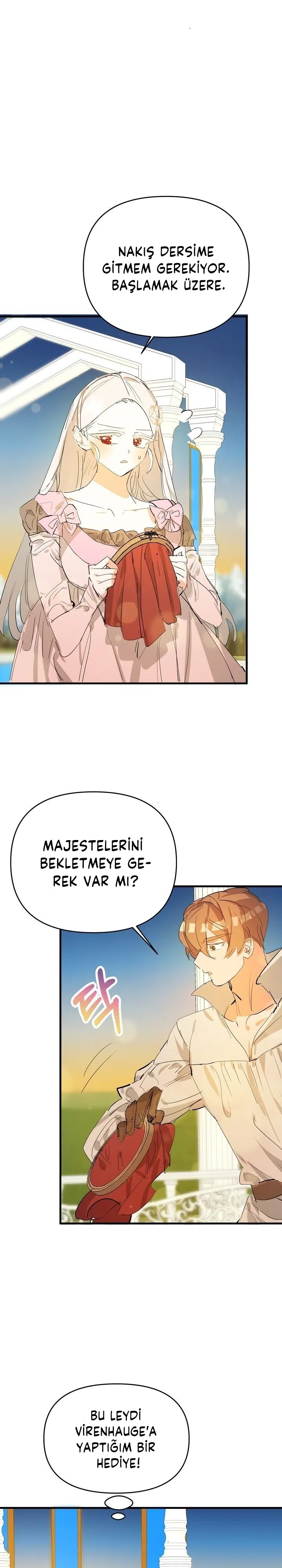 Sahte Leydi - Bölüm 20 Sayfa 14