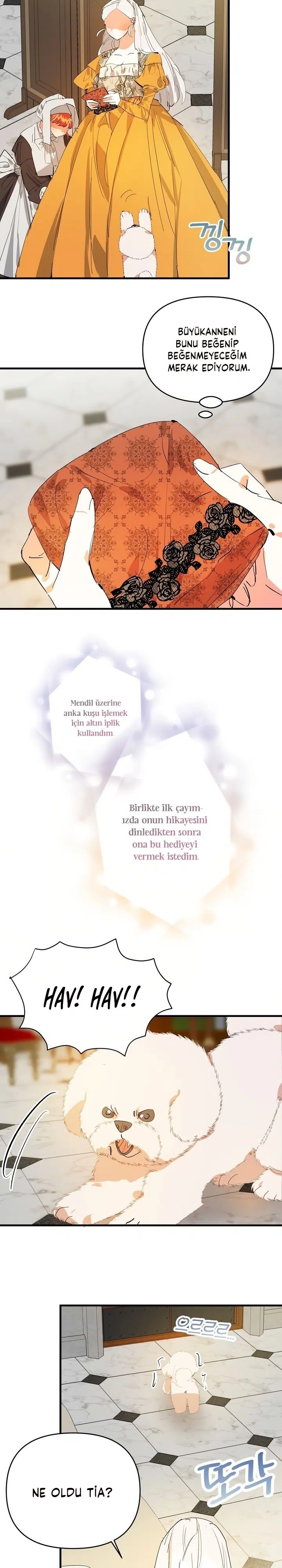 Sahte Leydi - Bölüm 22 Sayfa 8