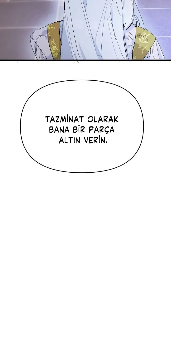 Sahte Leydi - Bölüm 22 Sayfa 25