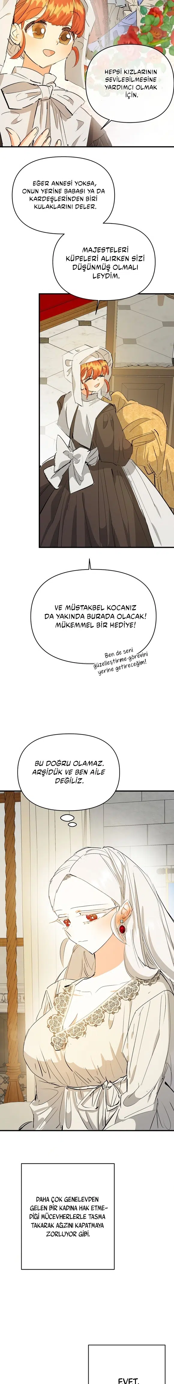 Sahte Leydi - Bölüm 23 Sayfa 15
