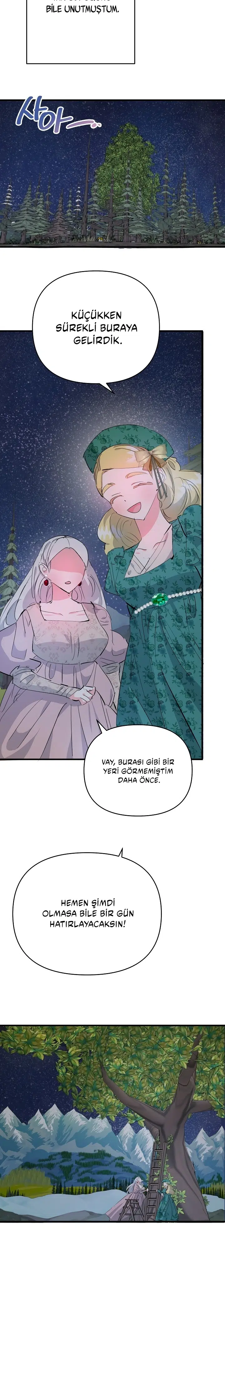 Sahte Leydi - Bölüm 25 Sayfa 17