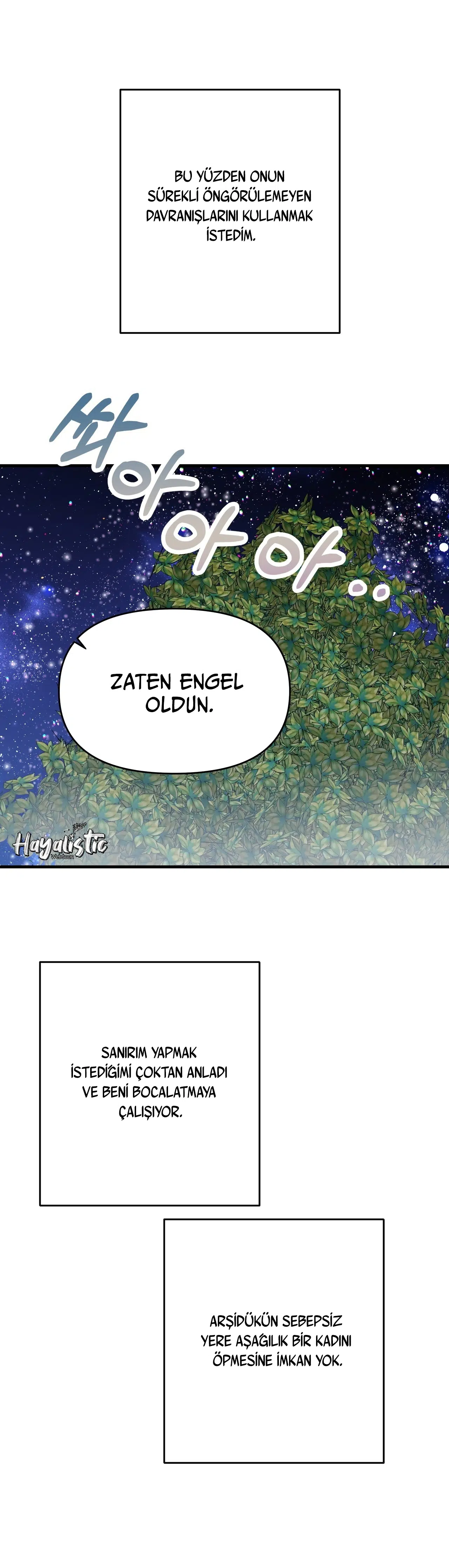 Sahte Leydi - Bölüm 27 Sayfa 12