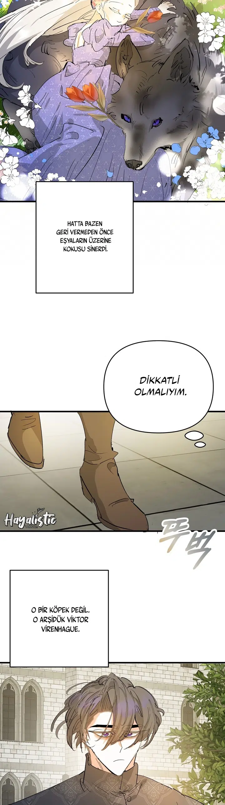 Sahte Leydi - Bölüm 28 Sayfa 17