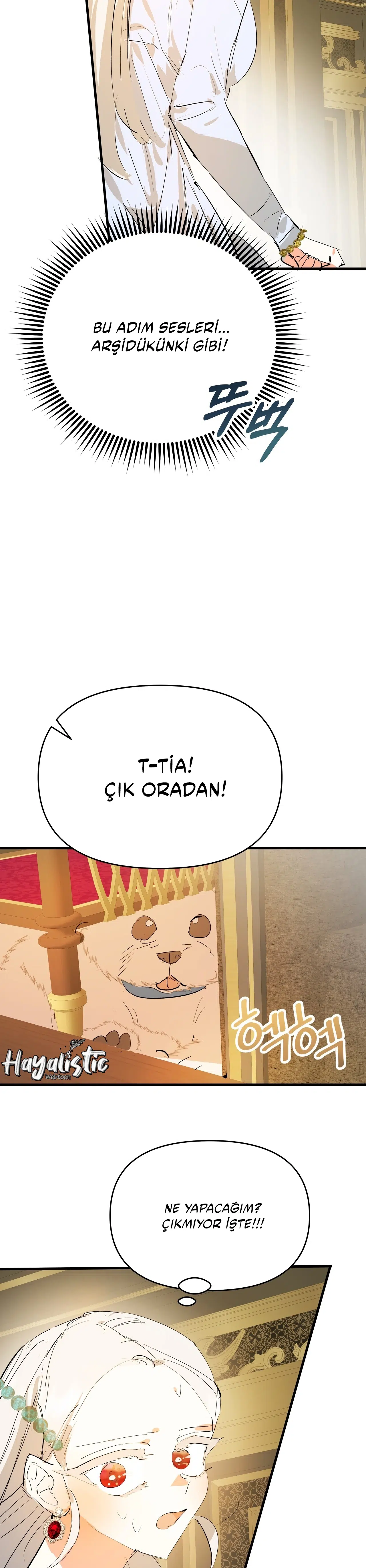 Sahte Leydi - Bölüm 29 Sayfa 5