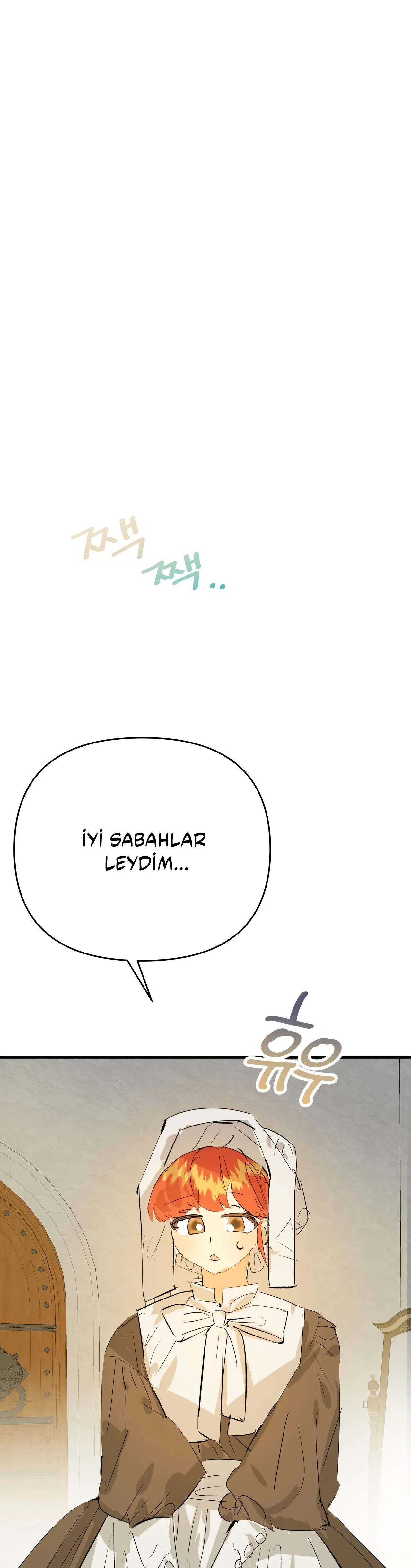 Sahte Leydi - Bölüm 29 Sayfa 32
