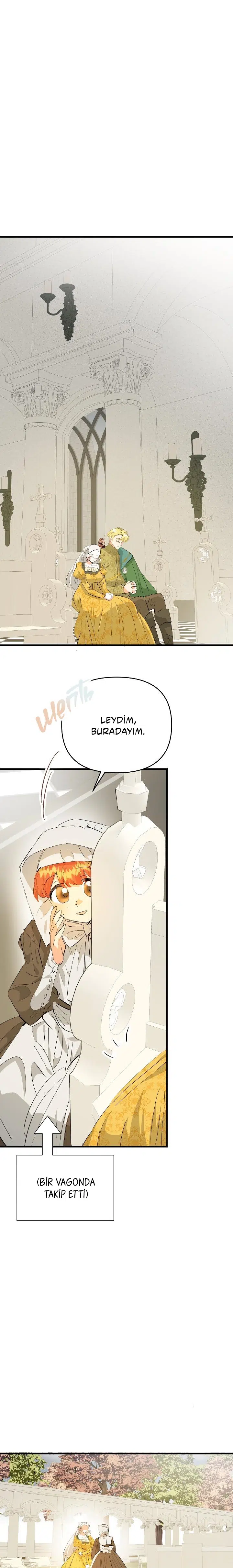 Sahte Leydi - Bölüm 31 Sayfa 16