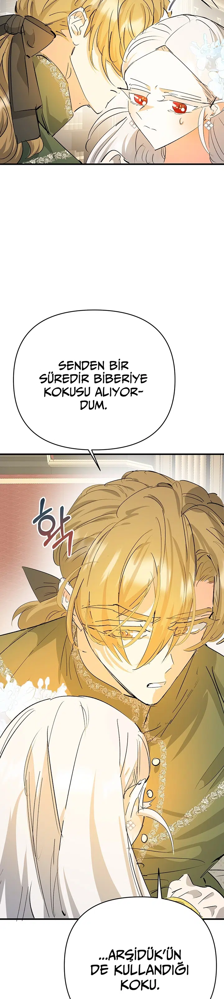 Sahte Leydi - Bölüm 35 Sayfa 19