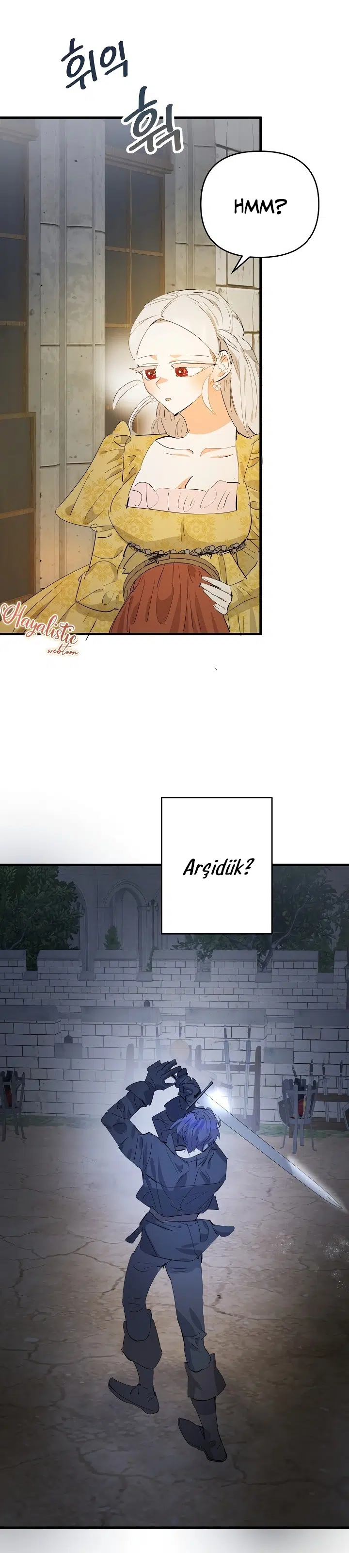 Sahte Leydi - Bölüm 37 Sayfa 27