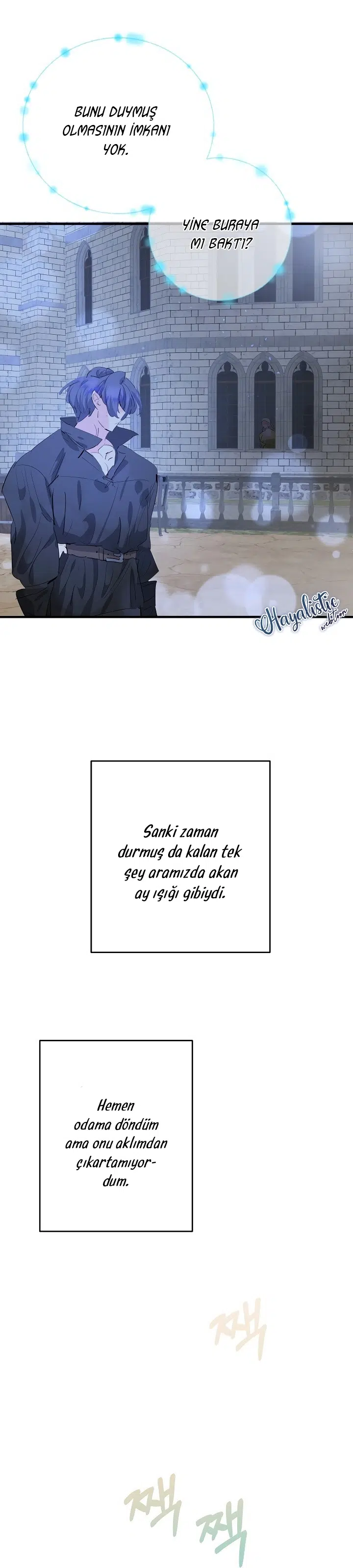Sahte Leydi - Bölüm 37 Sayfa 31