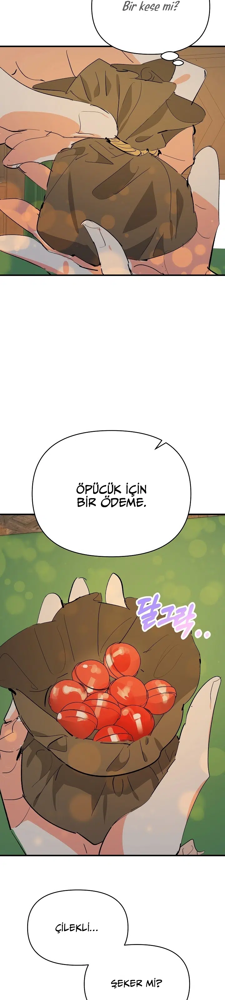 Sahte Leydi - Bölüm 41 Sayfa 6