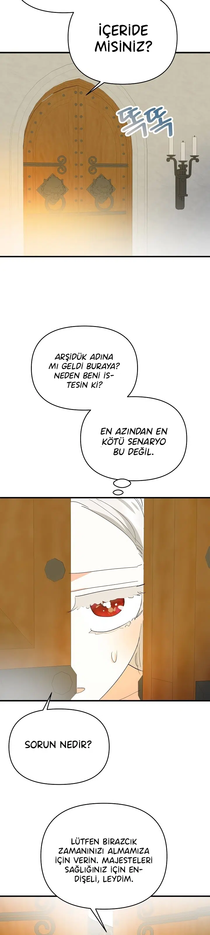 Sahte Leydi - Bölüm 42 Sayfa 13