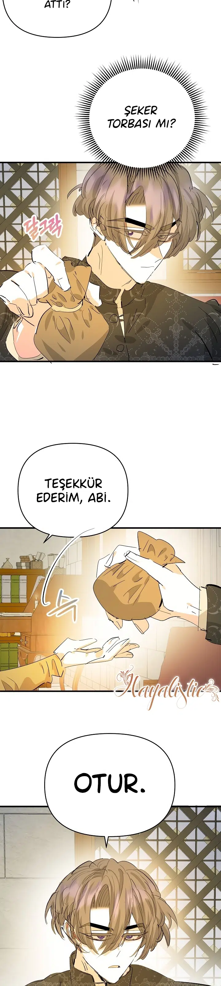 Sahte Leydi - Bölüm 42 Sayfa 17