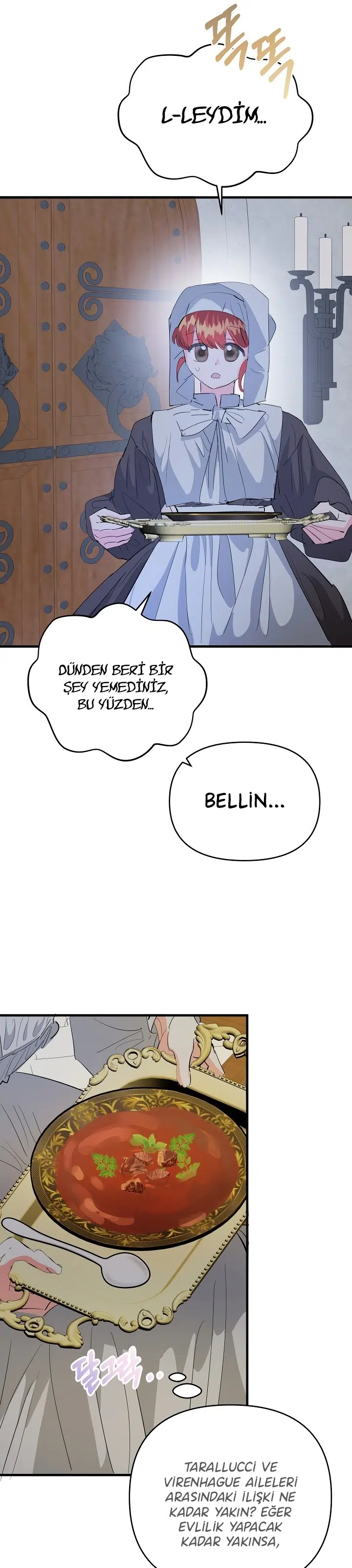 Sahte Leydi - Bölüm 45 Sayfa 20