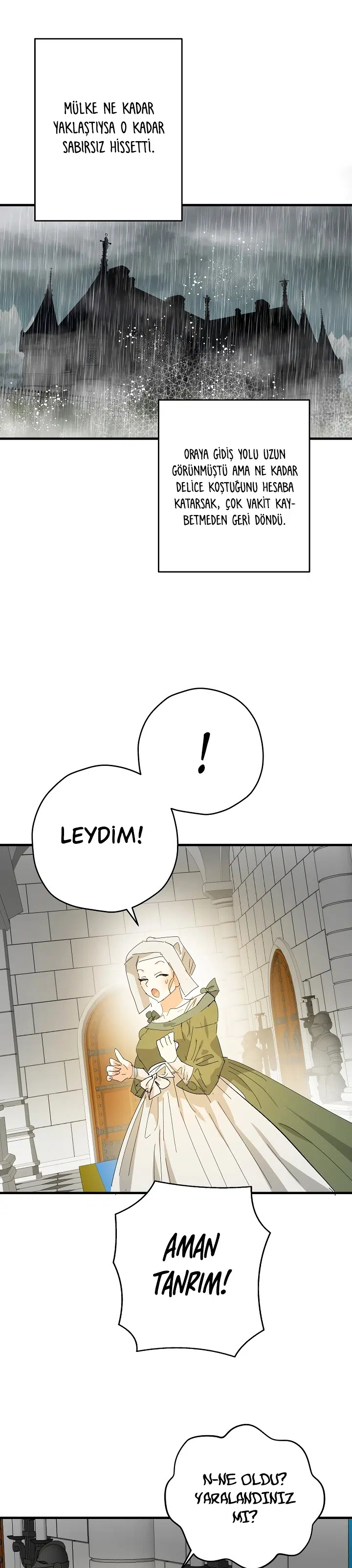 Sahte Leydi - Bölüm 54 Sayfa 27