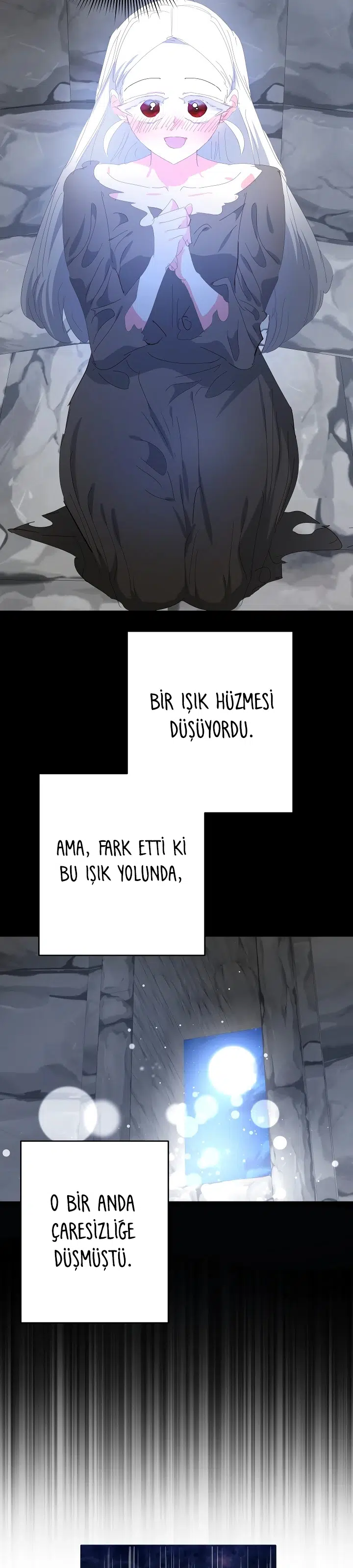 Sahte Leydi - Bölüm 56 Sayfa 17